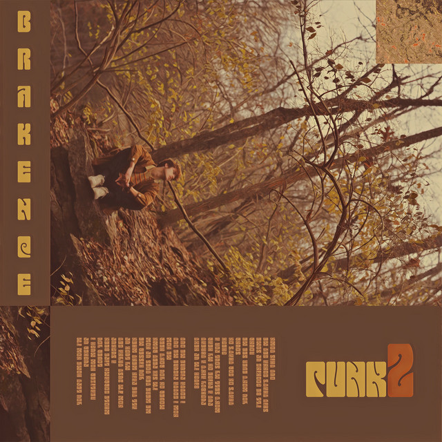 punk2 album cover
