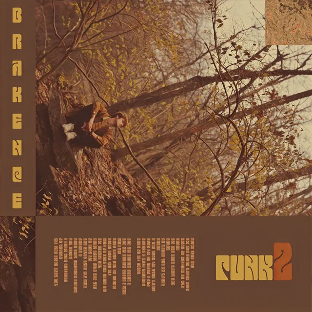 punk2 cover
