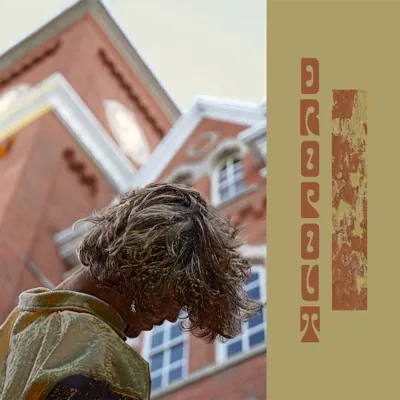 dropout cover
