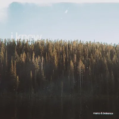 i know cover